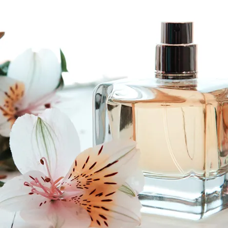 إليك أجمل عطور الفانيليا لنفحة رومانسية جذابة