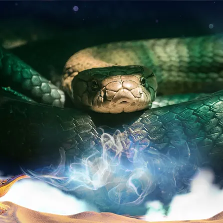 إلى ماذا يشير حلم لدغة الثعبان؟