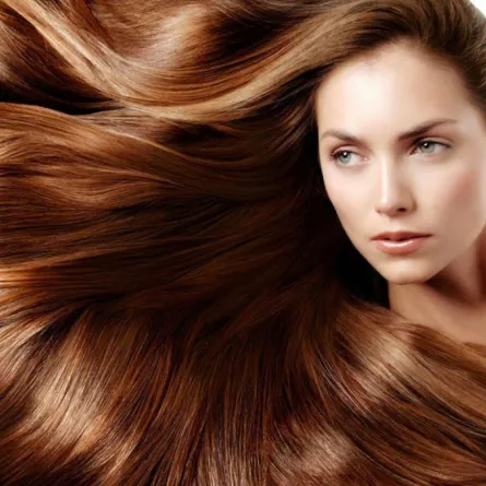 ما هي مواصفات كل نوع من أنواع الشعر؟