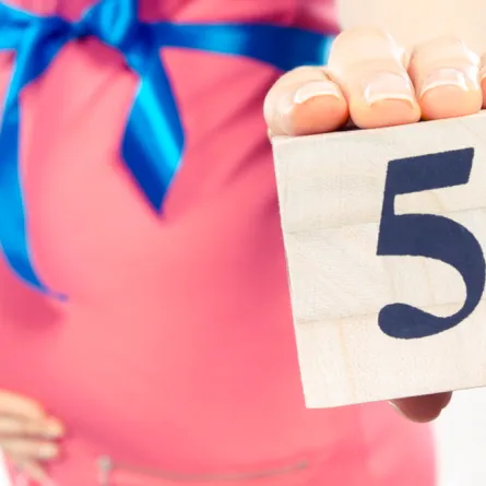 مراحل تطور الجنين في الشهر الخامس