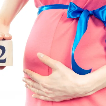 مراحل تطور الجنين في الشهر الثاني.. 