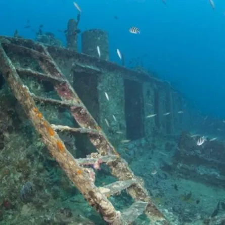 بالفيديو.. فريق سعودي إيطالي يكشف غموض غرق سفينة قرب سواحل أملج قبل 300 عام