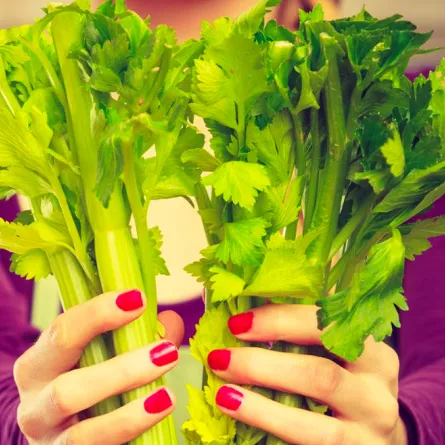 فوائد الكرفس للتنحيف