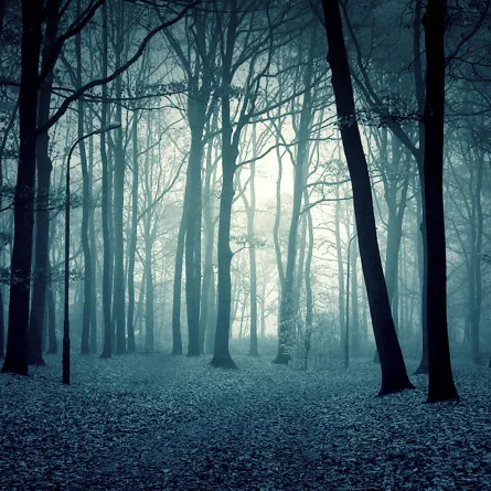 فيديو: شبح طفل برجل واحدة في تايلاند