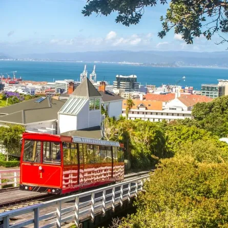 السياحة في عاصمة نيوزيلندا على خطى الأمير هاري وميغان ماركل