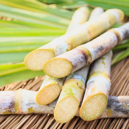 في اليوم العالمي للسكري.. الطعام الذي يتوق إليه الجميع