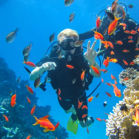 شرم الشيخ تختصر متعة الغوص في الشتاء