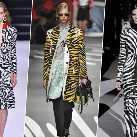 نقشة الحمار الوحشي خيار النجمات فما رأيك بها؟