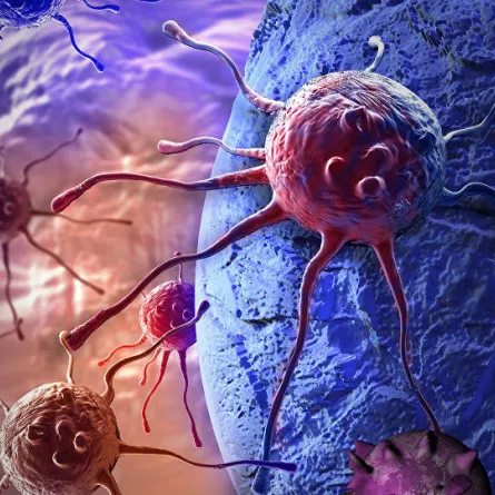 علماء يكتشفون نوعاً من "السكر" يقضي على نمو الخلايا السرطانية