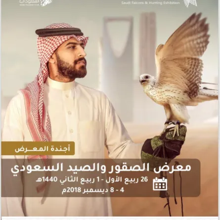 صوره للصقور.jpg