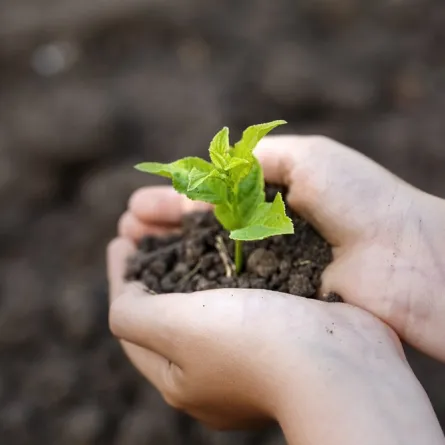 لأن علينا الحفاظ على كوكبنا.. الاحتفال باليوم العالمي للتربة