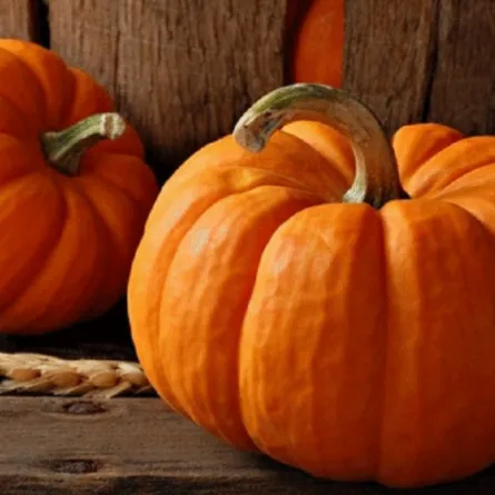 فوائد القرع لـ فقدان الوزن والوقاية من السكري وأمراض القلب