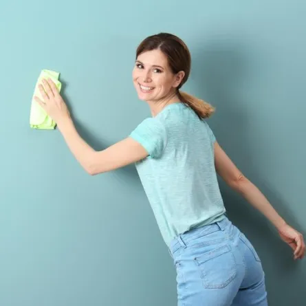 التدبير المنزلي: طرق تنظيف الجدران من الحبر