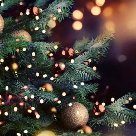 حكاية شجرة الكريسماس.. كيف بدأت وكيف تطورت