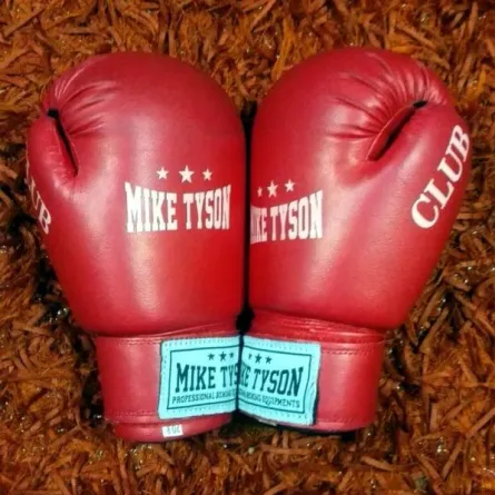 سعودية تنتزع المركز الأول في الكيك بوكسينج