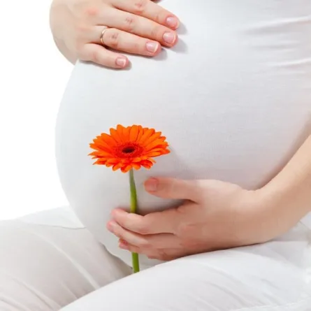 تحذير للحوامل.. هذه الوجبات تشوه الجنين؟