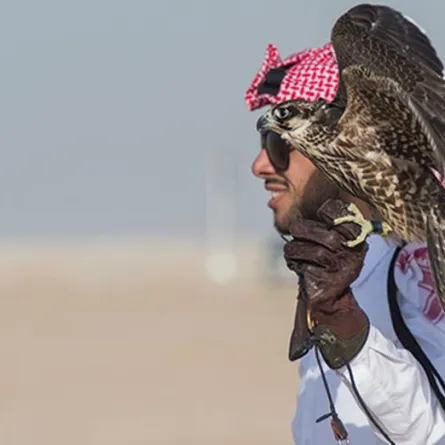 أضخم الاستعدادات لمهرجان الصقور الأول بالسعودية