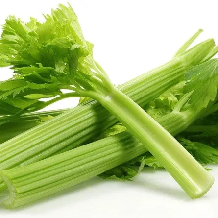 فوائد الكرفس ومخاطره على الصحة