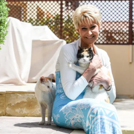 إنقاذ القطط الشاردة في دبي