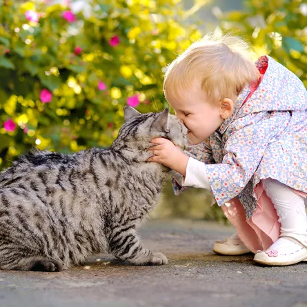 دراسة: من أجل صحة طفلك.. اقتني هذه الحيوانات الأليفة