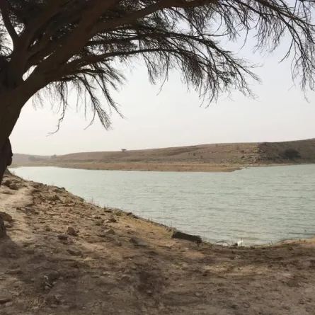 بالتعاون بين وزارة البيئة والمياه والزراعة وسياحة الرياض                                                              22 طالبة من جامعة نورة يزورن سد صلبوخ لاستلهام جمال الطبيعة بأعمال فنية