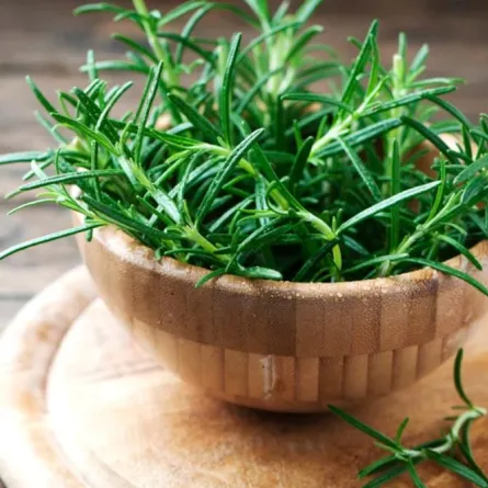 فوائد اكليل الجبل على الصحة والرجيم