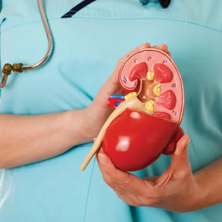أمراض الكلى: كل التفاصيل عن عمليات الزرع في السعودية