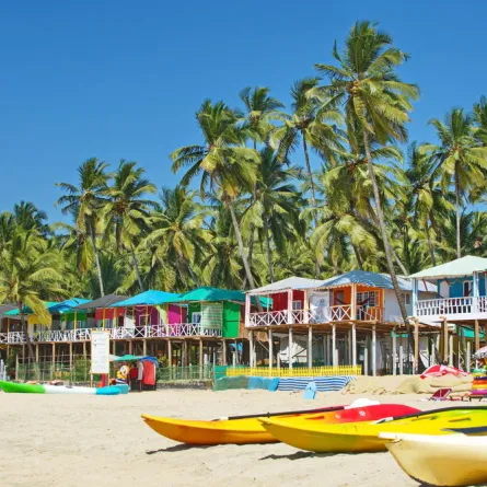 السياحة في الهند حيث يحلو السفاري