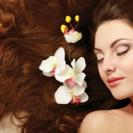 العناية بالشعر التالف بهذه الخلطات الطبيعية