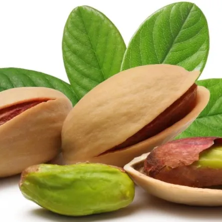 فوائد الفستق المدعّمة باثباتات علمية