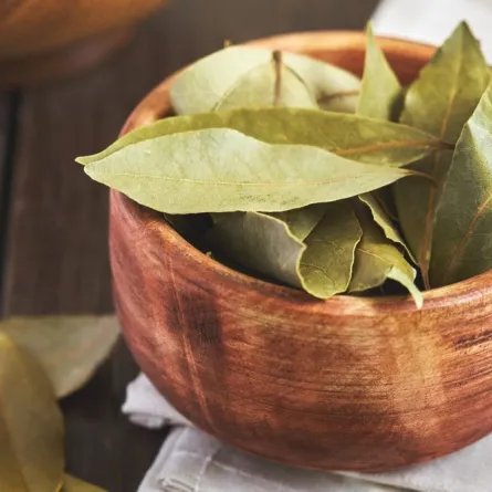 فوائد ورق الغار في الوقاية من السكري والتهاب المفاصل