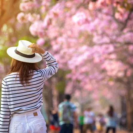 اجمل الاماكن السياحية لموسم ربيع 2019