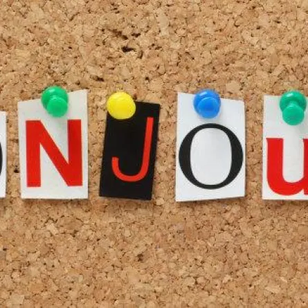 في اليوم العالمي للغة الفرنسية.. تعرفي إلى أهميتها ومصادر تعلمها