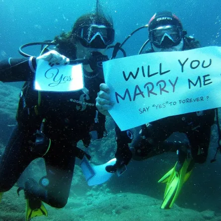 أغرب وأطرف عروض الزواج