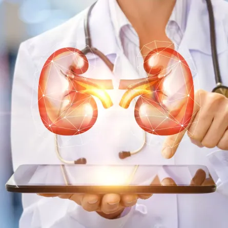 الوقاية من أمراض الكلى في حملة وطنية