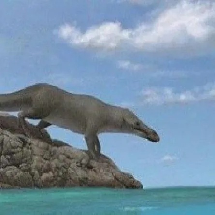 العثور على حفريات «حــوت» كان يمتلك 4 قوائم عاش قبل 43 مليون عام