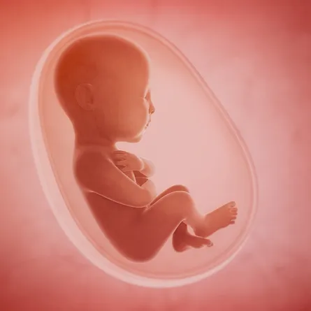 ماذا تعرفين عن مشاعر الجنين؟