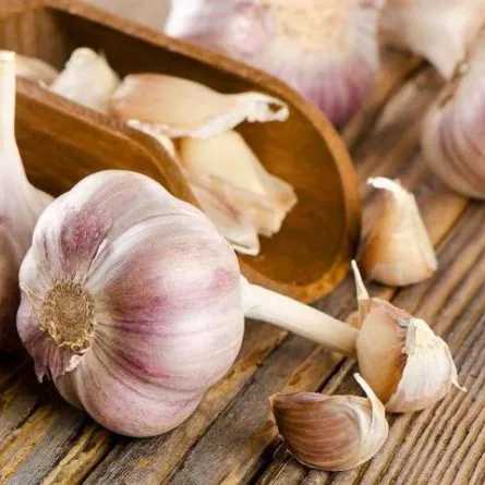 فوائد الثوم لا تعدّ ولا تُحصى