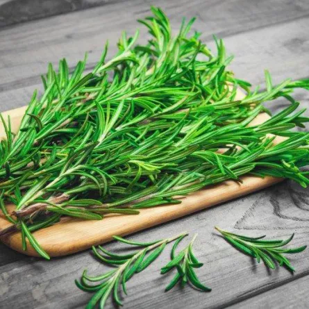 فوائد اكليل الجبل وطرق الاستخدام الفعّالة