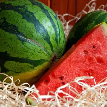 دراسة حديثة: البطيخ مليء بالفيتامينات ومضادات الأكسدة