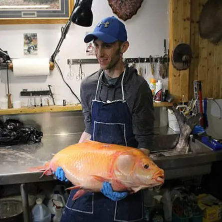 أمريكي يصطاد سمكة عمرها 100 عامًا