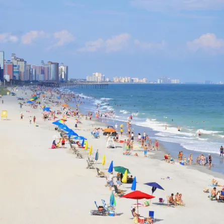 علماء يحذرون: السباحة في البحار والمحيطات قد تكون مميتة!