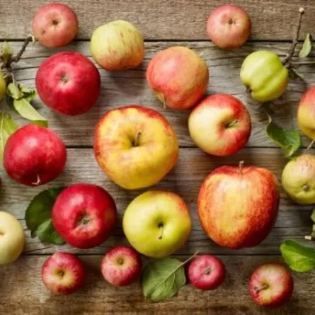 فوائد التفاح التي لم تُعرف من قبل !