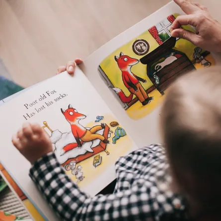 حكايات قبل النوم: الدب الكسول والعسل المسموم