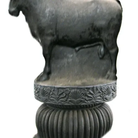 علماء يكتشفون أسلاف الأبقار والثيران الحديثة.. والنتيجة مثيرة للاهتمام