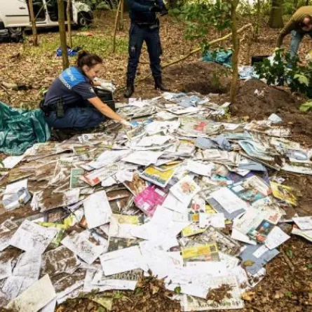 في هولندا: ساعي بريد يطمر الرسائل في الغابة.. ما السبب؟