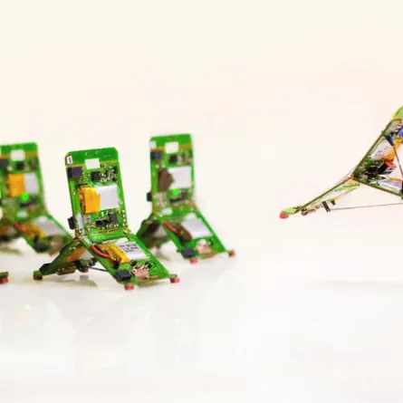 علماء يبتكرون روبوت مستلهم من «النملة» بوزن 10 غرامات!!