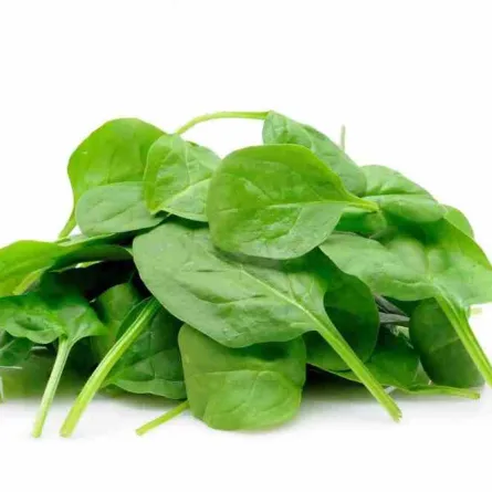 فوائد السبانخ: لن تصدقوا ما يفعله بالجسم وفق دراسة علمية