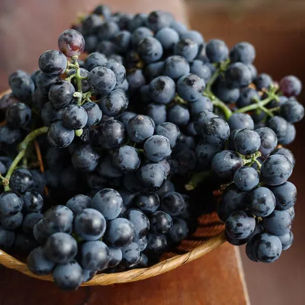 فوائد العنب الاسود في خفض الكولسترول وعلاج الامساك