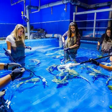 فرصة فريدة للتعرف على أسماك القرش في "دبي أكواريوم وحديقة الحيوانات المائية" 